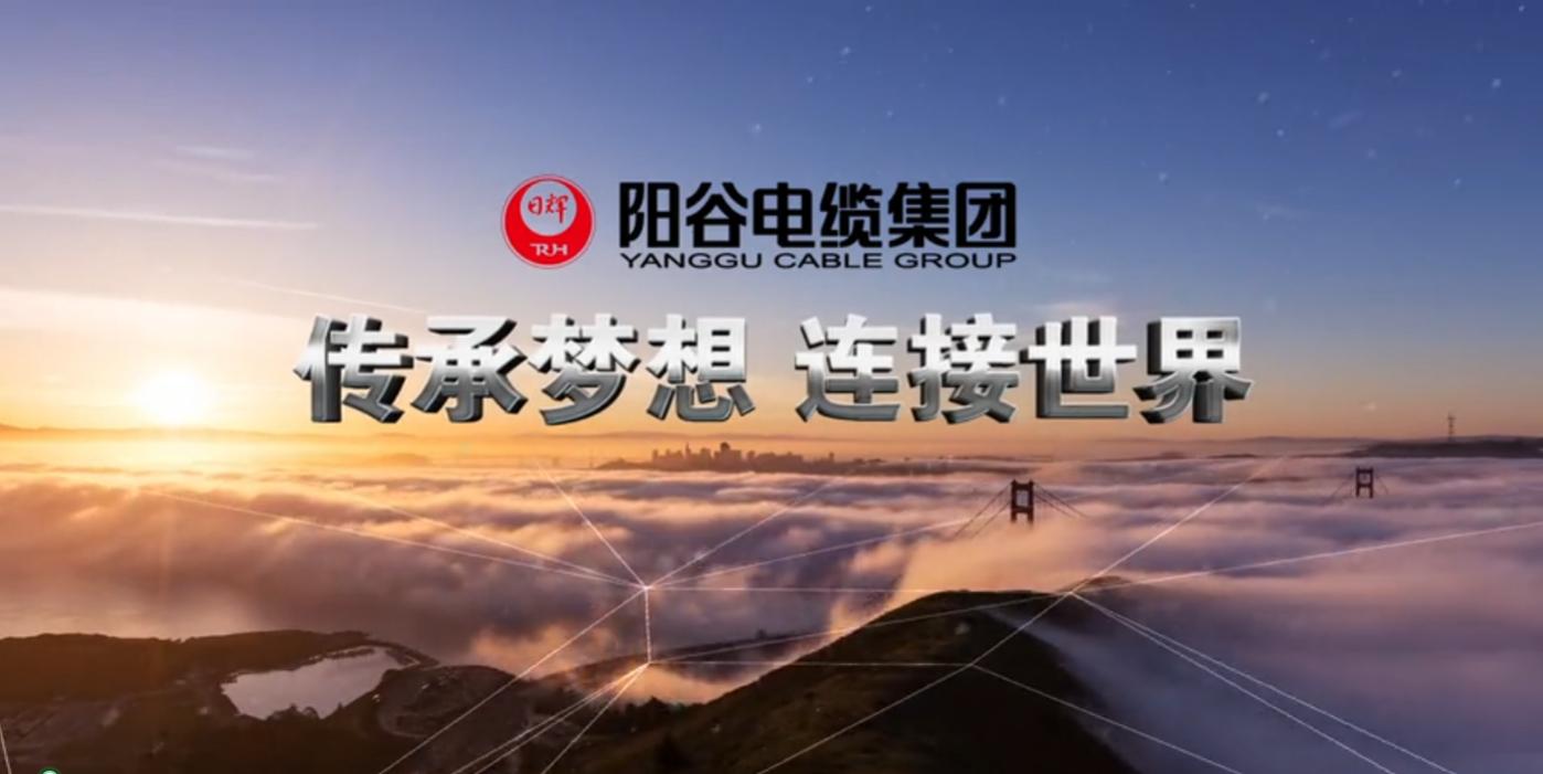传承梦想 连接世界 2024阳谷电缆集团宣传视频